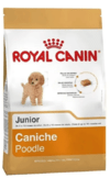 Royal Canin Poodle 33 Junior 3 Kg Caniche Cachorro