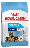 Royal Canin Maxi Starter X 10kg Madres Y Cachorros