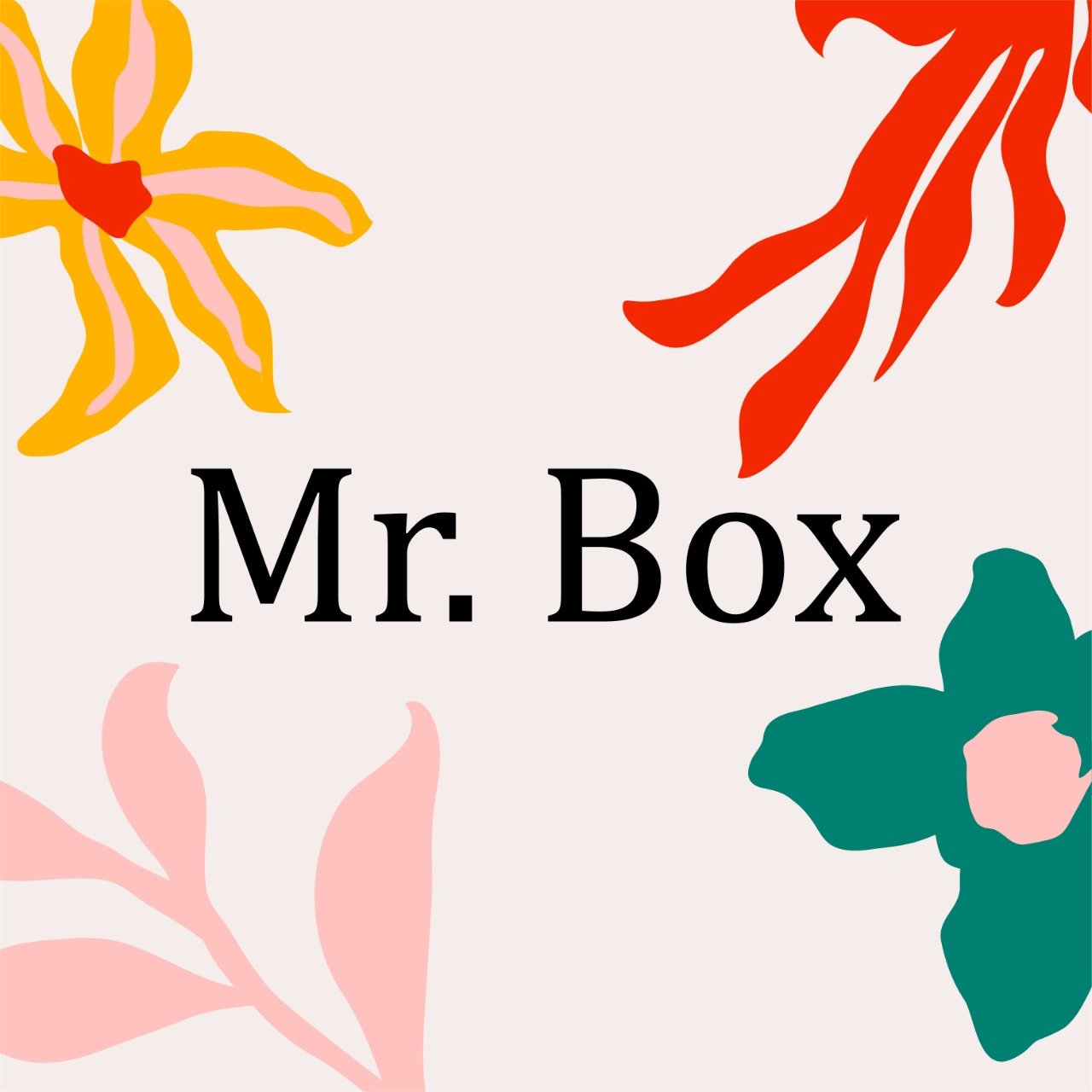Tienda Online de Mr. Box