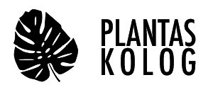 Plantas Kolog