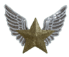 026 Estrella con alas