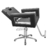 Cadeira de Cabeleireiro Moderna Inox Reclinável Base Estrela na internet