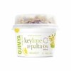 Yogur vegano Quimya KeyLime Palta