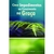 Cinco Impedimentos ao Crescimento na Graça | Kenneth E. Hagin