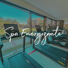 Spa Energizante | 1 persona