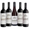 Vinho Miolo Reserva Kit Degustação Tinto 5 Garrafas 750ml