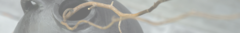 Banner de la categoría JARRONES ARTESANALES