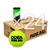 Caja x 24 Tubos Odea Padel Ball x 2 - tienda online