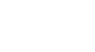 Debrisa