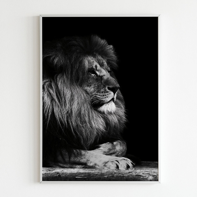 Quadro decorativo leao rei da selva preto e branco