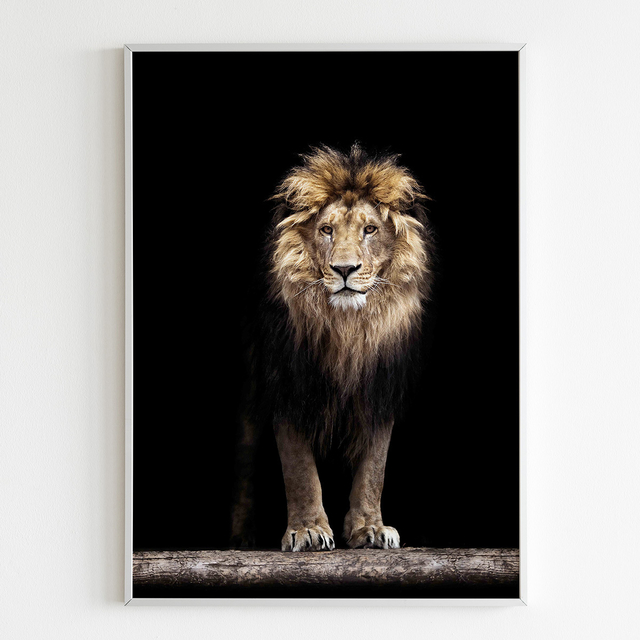 Leão Face Tribo de Judá Rei Preto e Branco - Estilo Arte Design