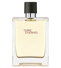 Terre D'Hermes EDT - Hermes