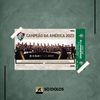 Poster Campeão da América 2023 44x29cm - Fluminense