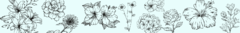 Banner de la categoría Flower Market