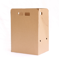 Caja Delivery - Family Box Biodegradable (130 un) en internet