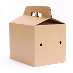 Caja Delivery - Family Box Biodegradable (130 un) - comprar online