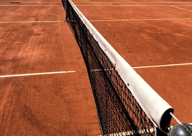 Antivibrador Vibora Dampener Raqueta Tenis Squash X2