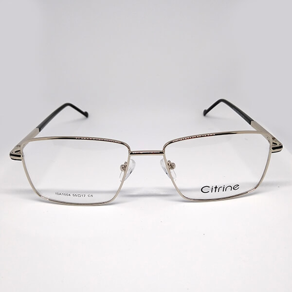 Óculos de Grau Masculino Retangular Prata | Ótica Citrine