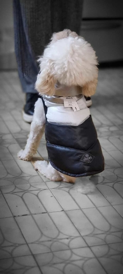 Imagen de Chaleco impermeable EleCant "Rock"- para perros