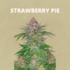 Auto Strawberry Pie