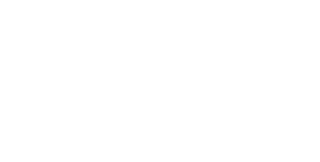 WESS PROFESSIONAL