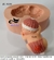 Molde de Silicone - Bebê Pompom Coração 6cm na internet