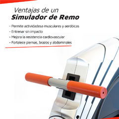 Simulador de Remo ARG-901 en internet
