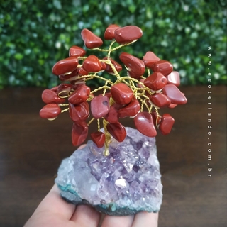 Árvore sagrada de cristal- Jaspe Vermelho