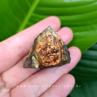 Pedra labradorita bruta 100% natural, pote de cerâmica, folhas verdes