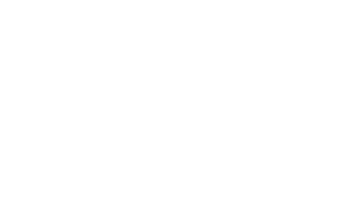 Dislexia