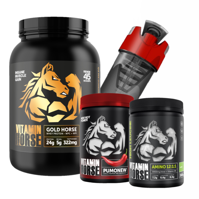 Combo Ganha de Massa Muscular - Whey + Bcaa + Pré Treino + Brinde