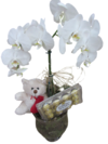 Orquídea Branca com Ferrero e ursinho.