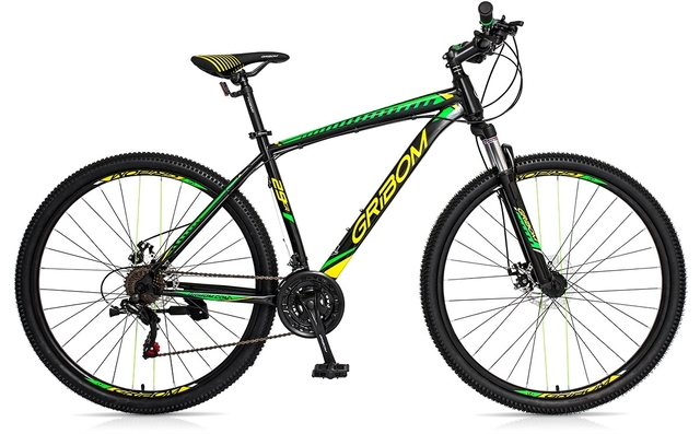 Bicicleta rodado 29 gribom sales