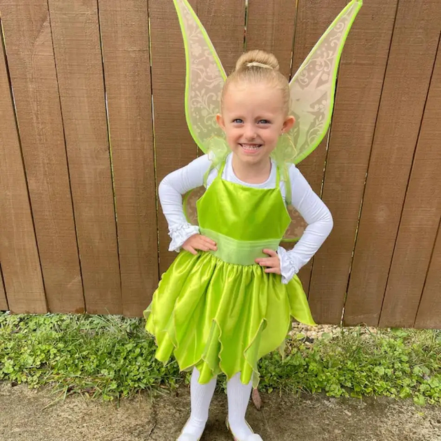 Fantasia Sininho Tinker Bell Cosplay Profissional Traje Luxo Infantil