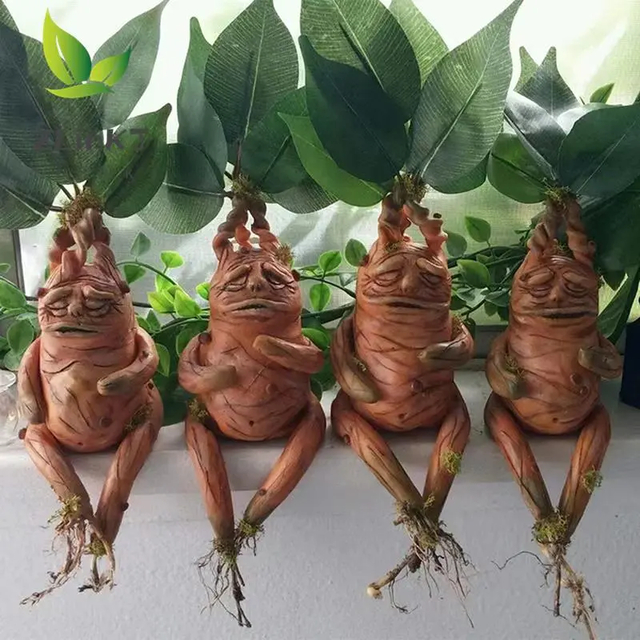 Objeto Decorativo Mandrake