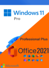 Microsoft Windows 11 Pro + Office Pro Plus 32/64 Bits