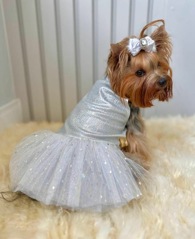 Vestido Cinderela - Comprar em Pet Chérie Boutique