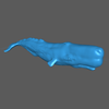 Baleia Cachalote