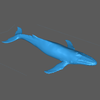 Baleia Jubarte 2
