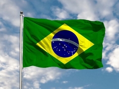 Bandeira do Brasil na internet