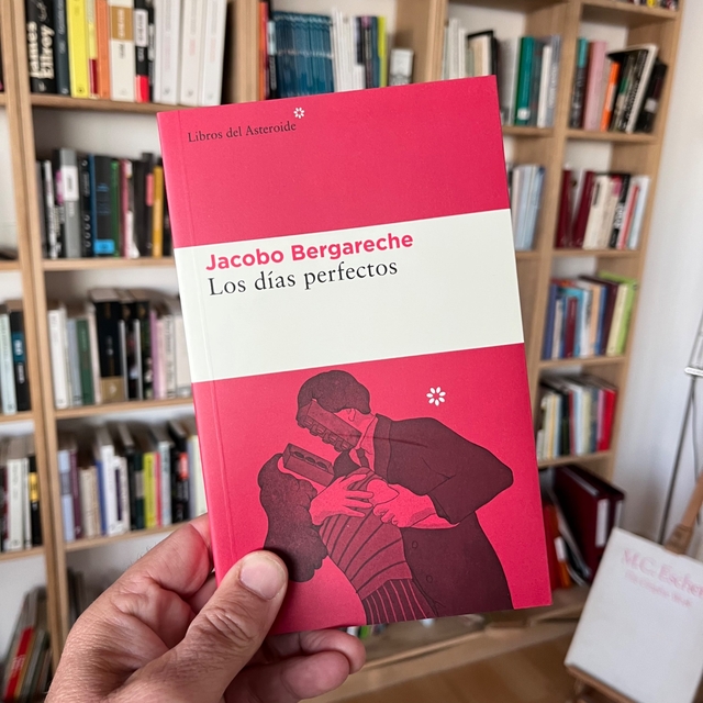 Los días perfectos eBook por Jacobo Bergareche - EPUB Libro