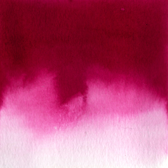 Magenta de quinacridona (crista de galo) - aquarela de linha profissional