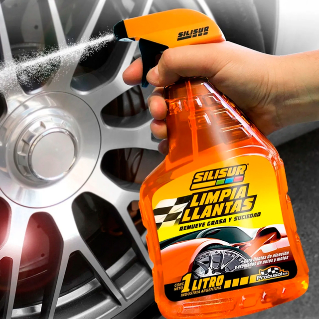 Kit Pro Limpieza Auto en internet