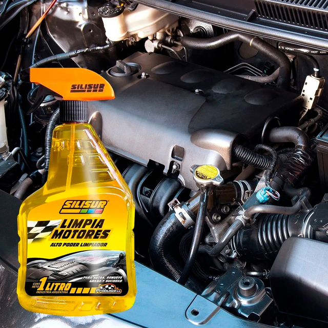 Kit Pro Limpieza Auto - comprar online