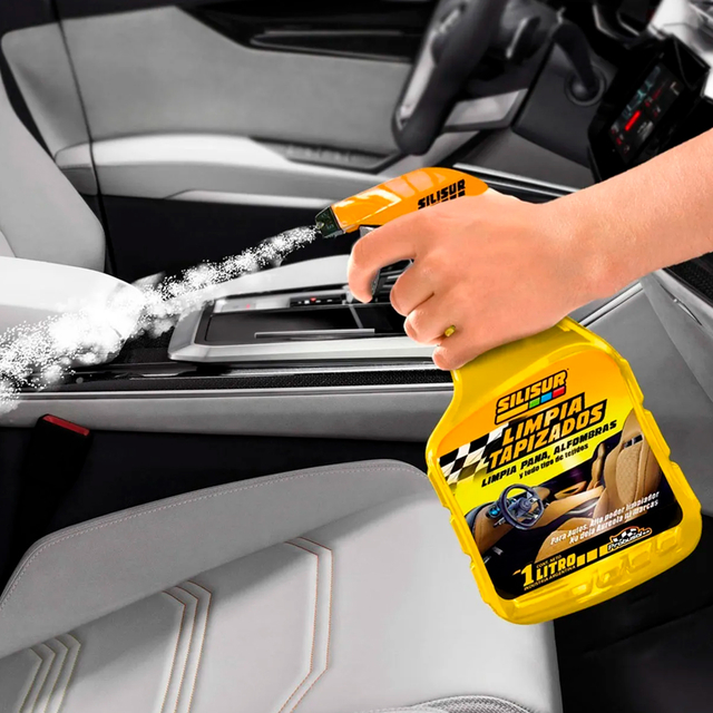 Kit Pro Limpieza Auto - tienda online