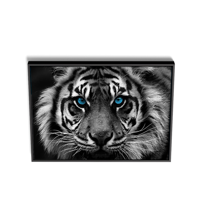 Quadro Decorativo Tigre Preto e Branco Olhos Azuis