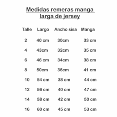 Remeras manga larga lisas!