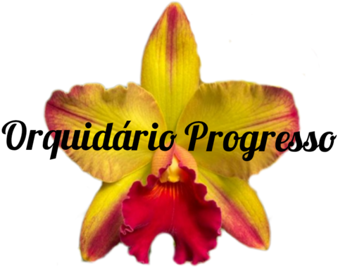 Orquídeas e cactos Orquidário Progresso