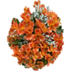 Mini Bouquet Astromélia Coral