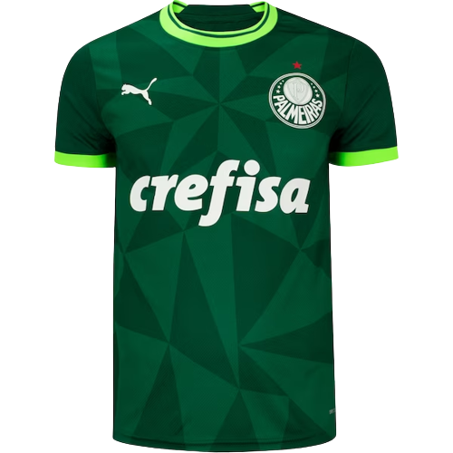 Camisa de Futebol Palmeiras 2024